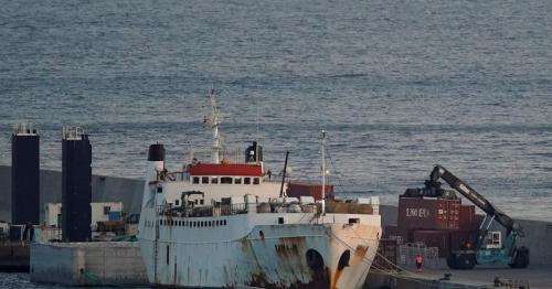Spanish report calls for killing of more than 850 cattle on pariah ship