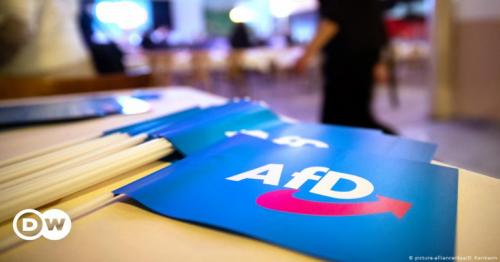 Germany to spy on far-right AfD party, reports say
