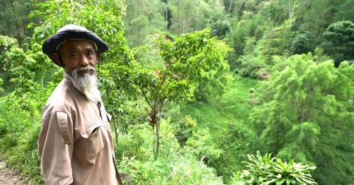 Once called crazy, Indonesian eco-warrior turns arid hills green