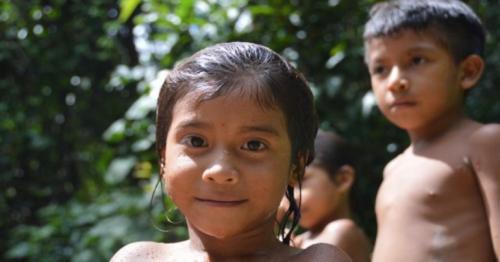 They are killing our forest, Brazilian tribe warns