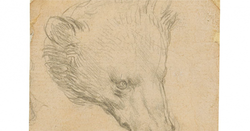 Da Vinci’s ‘Head of Bear’ drawing seen fetching up to $16 mln