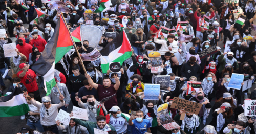 Thousands march in Chicago in show of support for Palestine
