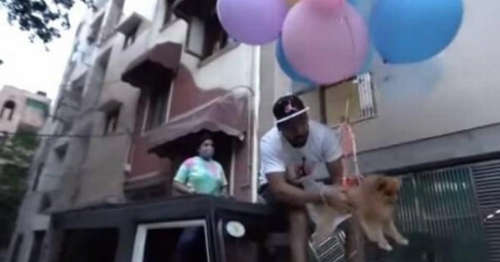 India YouTuber arrested for 'flying' dog with helium balloons