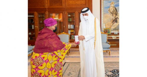HH the Amir meets Ambassador of Tanzania