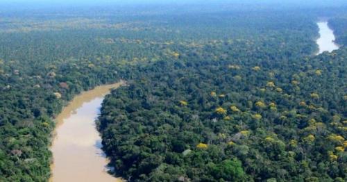 Amazon-dwellers lived sustainably for 5,000 years
