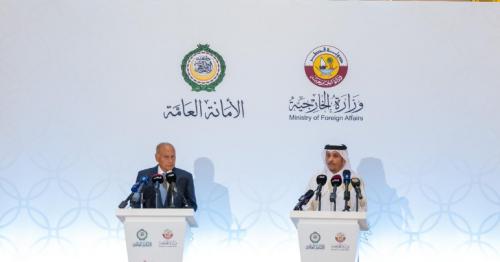 Deputy PM and FM Affirms Unified Arab Position on the Renaissance Dam Crisis