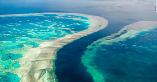 The Great Barrier Reef is in 'danger,' UN says. Australia disagrees